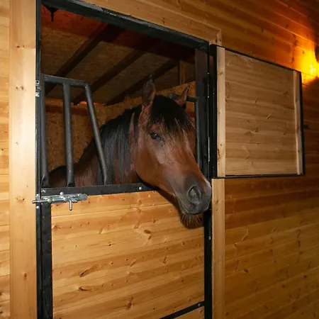 Sancho Farm House Guest house *