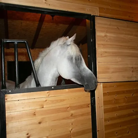 Sancho Farm House *