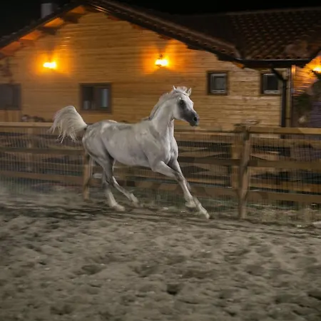 בית הארחה Sancho Farm House Memaliaj